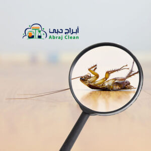 أرخص شركة مكافحة حشرات في الإمارات (أبراج دبي 0567667142) شركة مكافحة حشرات، دبي، أبوظبي، الفجيرة، العين، الشارقة، رأس الخيمة، عجمان، أم القيوين، كلباء