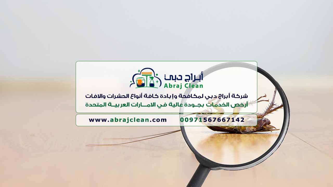 أرخص شركة مكافحة حشرات في الإمارات (أبراج دبي 0567667142) شركة مكافحة حشرات، دبي، أبوظبي، الفجيرة، العين، الشارقة، رأس الخيمة، عجمان، أم القيوين، كلباء