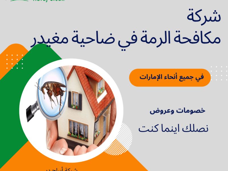 شركة مكافحة الرمة في ضاحية مغيدر | التخلص من النمل الابيض