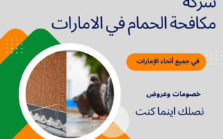 شركة مكافحة الحمام في دبي | تركيب طارد الحمام