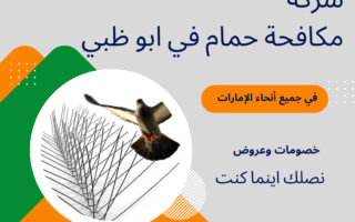 شركة مكافحة حمام في ابو ظبي | تركيب طارد الحمام