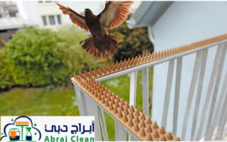 افضل شركة مكافحة الحمام في دبي | تركيب طارد الحمام