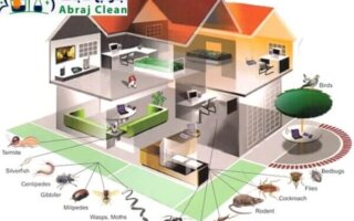 أفضل شركة مكافحة النمل الأبيض مع الضمان | مكافحة الرمة