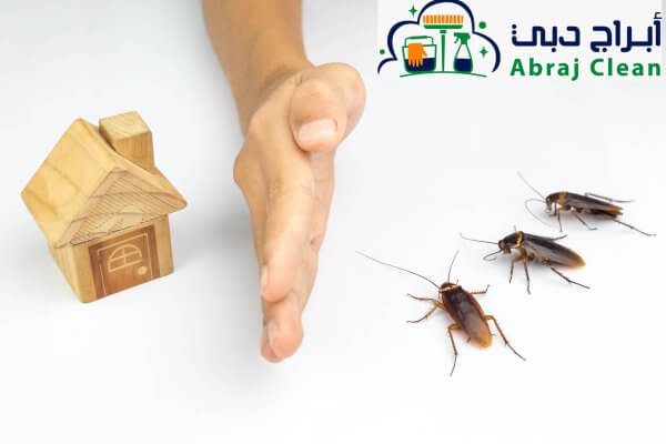 خدمات مكافحة الحشرات في رأس الخيمة