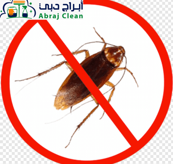 مكافحة الصراصير في الامارات | تقنيات حديثة للتخلص من الصراصير