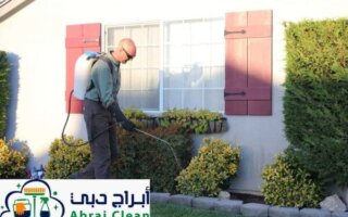 شركة مكافحة الفئران | التخلص من الجرذان نهائيا