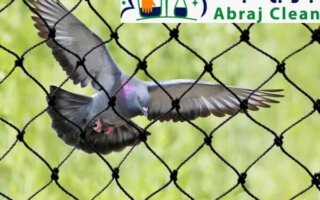 شركة مكافحة حمام | مكافحة وطرد الغربان