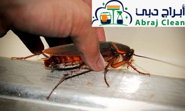 لماذا يجب التعامل مع شركة ابراج دبي للتخلص من الصراصير دوناً عن غيرها من الشركات؟