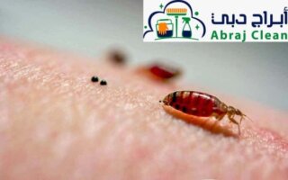 الامراض التي تسببها الصراصير