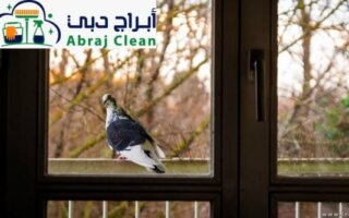 طارد الحمام من الشبابيك