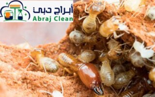 شركة مكافحة الرمة في الغافية