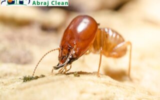 شركة مكافحة الرمة في ند الحمر