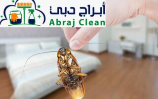 شركة مكافحة صراصير في الشارقة