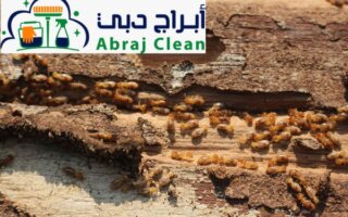 شركة مكافحة الرمة في القرائن