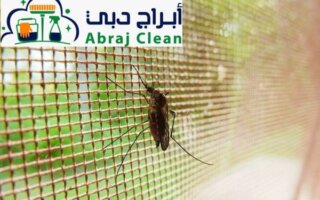 شركة رش حشرات