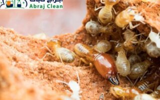 شركات مكافحة الرمة في ند الحمر