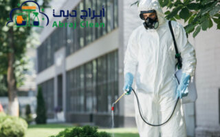 شركة بخ الحشرات