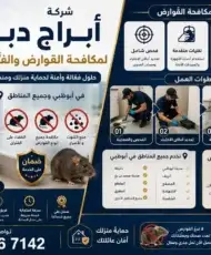 تنظيف واجهات الفلل في العين